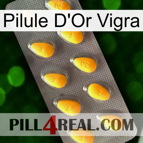 Vigra Gold Pill cialis1